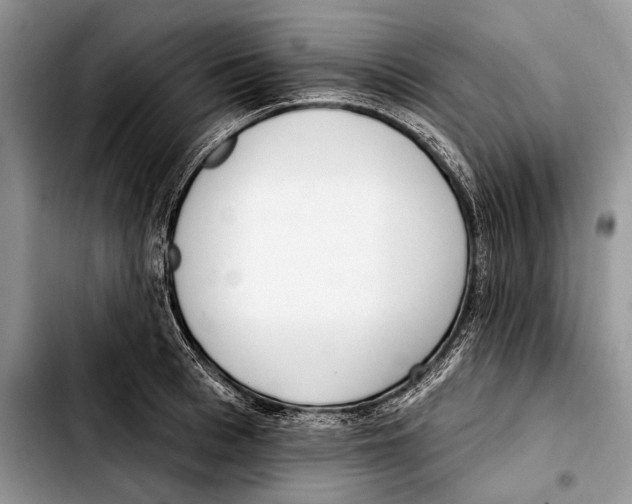 X0000103420993200810101015