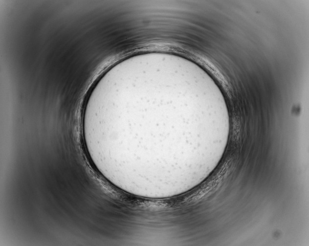 X0000103420994200810101015