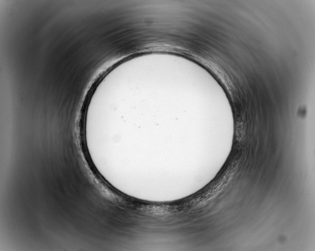 X0000103420995200810101015