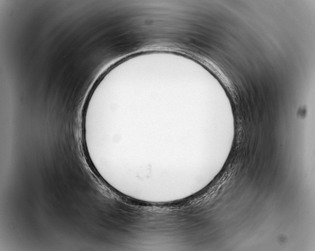 X0000103420996200810101015
