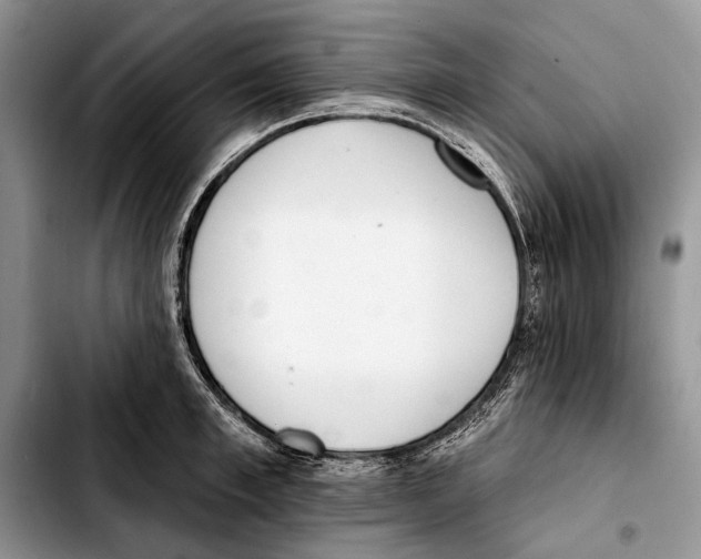 X0000103420997200810101014