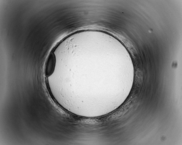 X0000103420998200810101014