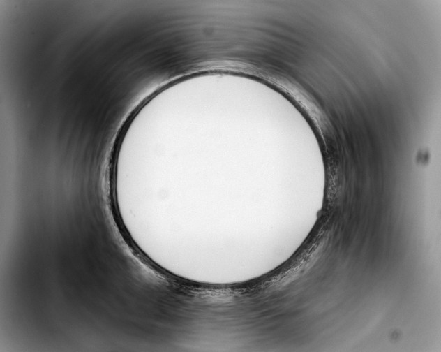 X0000103420999200810101014