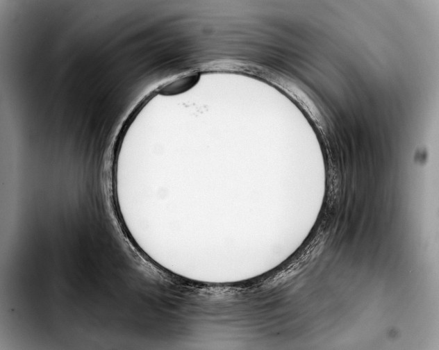 X0000103421000200810101014