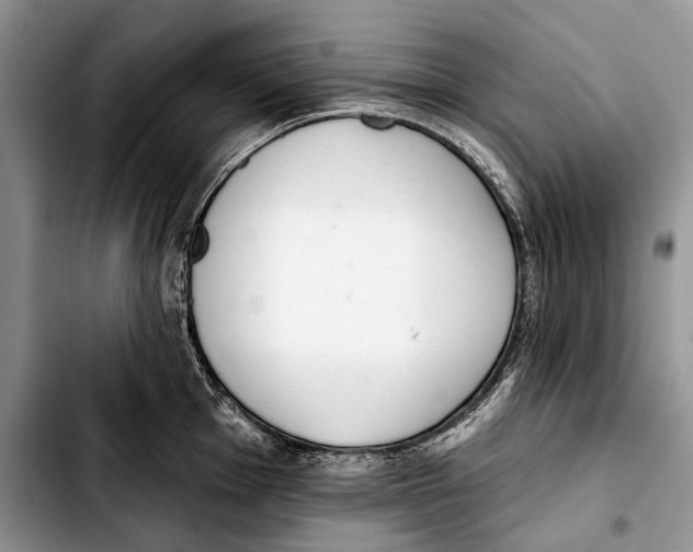 X0000103421001200810101014