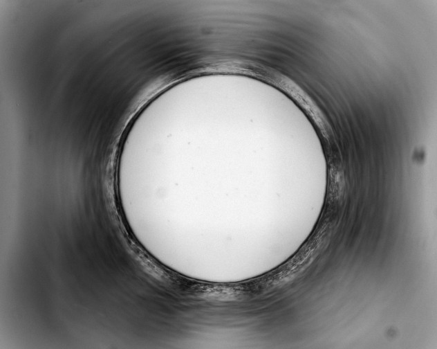 X0000103421002200810101014