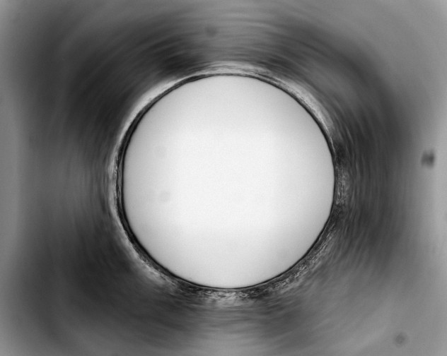 X0000103421003200810101014