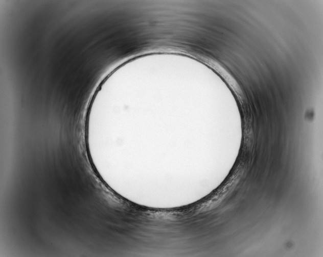 X0000103421004200810101014