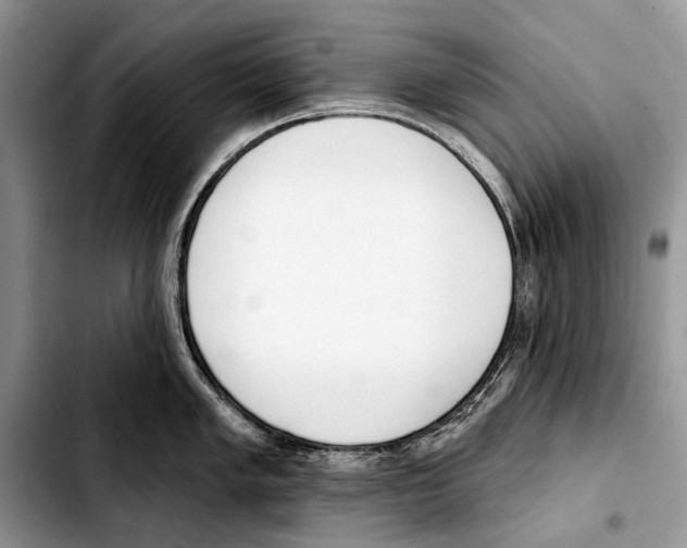 X0000103421005200810101014