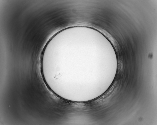 X0000103421006200810101014