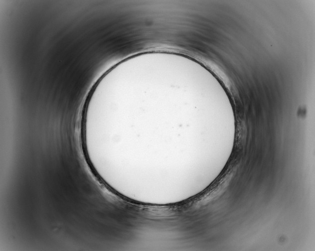 X0000103421007200810101014