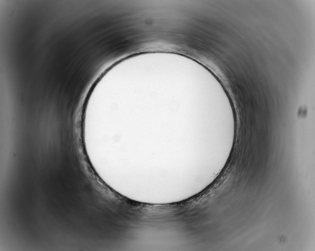 X0000103421008200810101014