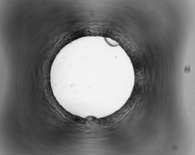 X0000103421009200810101014