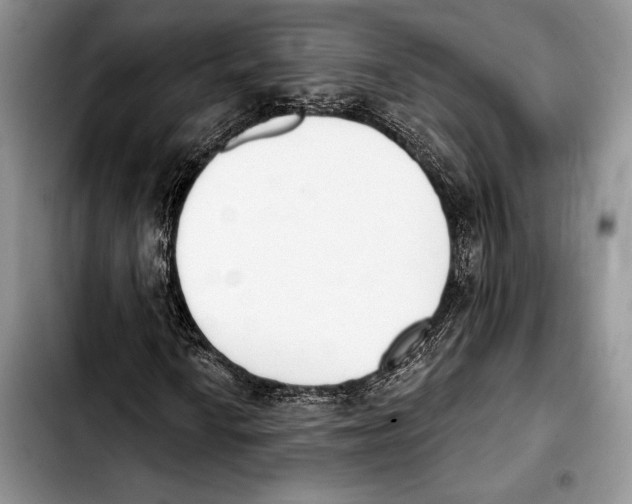 X0000103421010200810101014