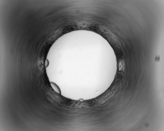X0000103421011200810101014