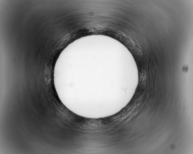 X0000103421012200810101014