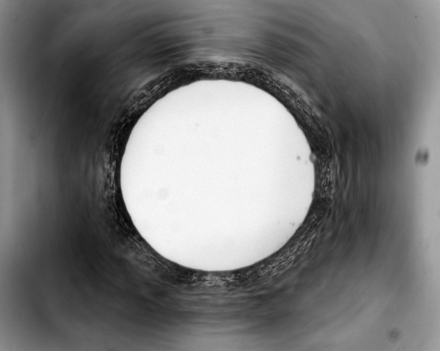 X0000103421013200810101014