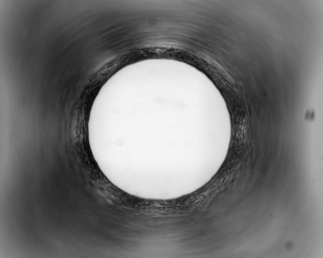 X0000103421014200810101014
