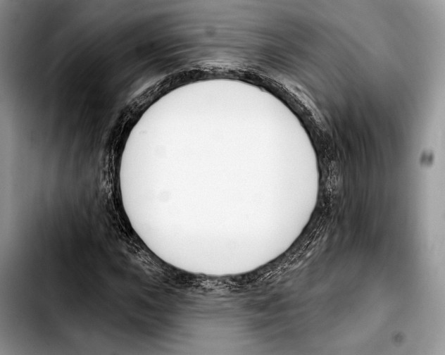 X0000103421015200810101014