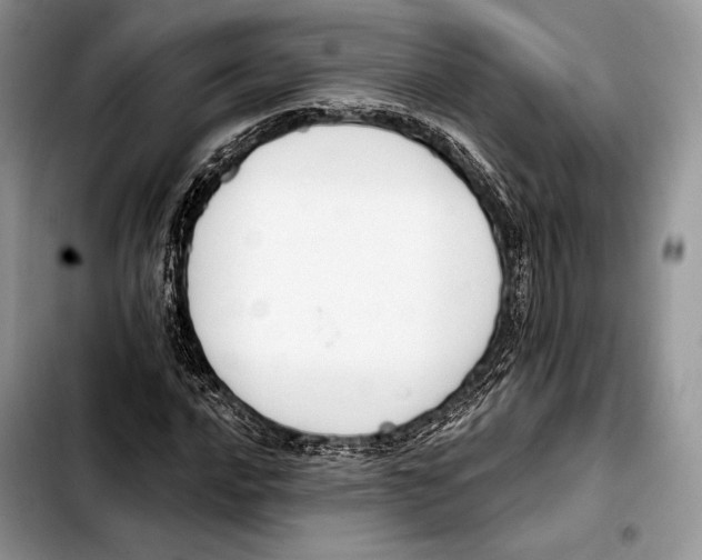 X0000103421016200810101014