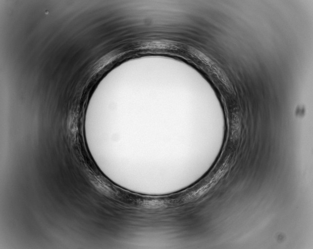 X0000103421017200810101014