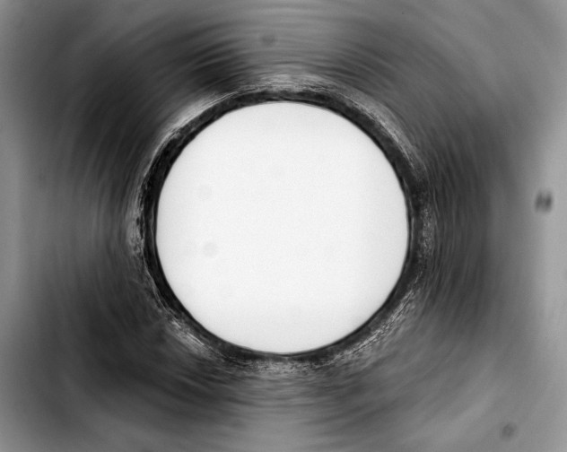 X0000103421018200810101014