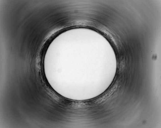 X0000103421019200810101014