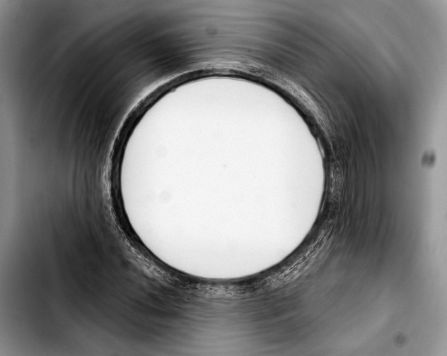 X0000103421020200810101014