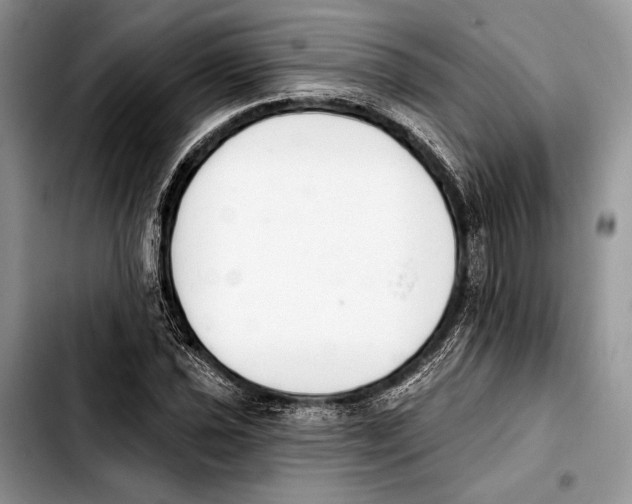 X0000103421021200810101014