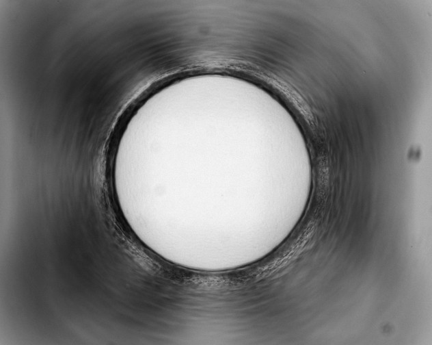 X0000103421023200810101014