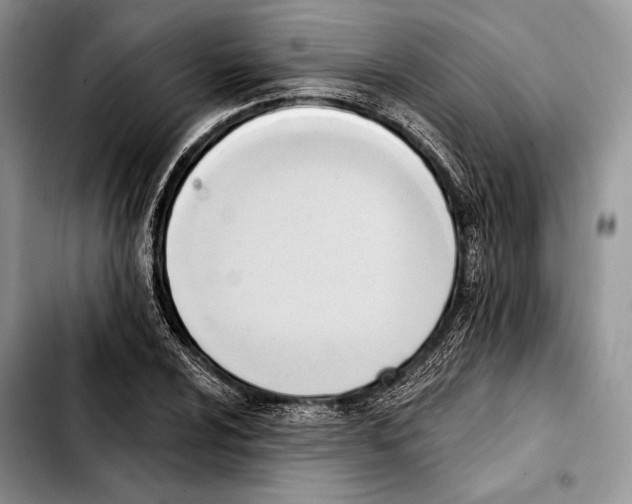 X0000103421024200810101014