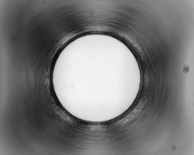 X0000103421025200810101014