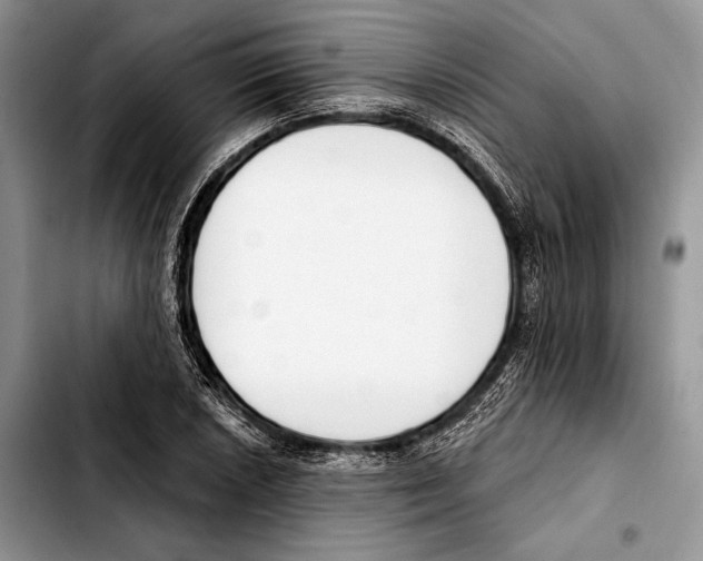 X0000103421026200810101014
