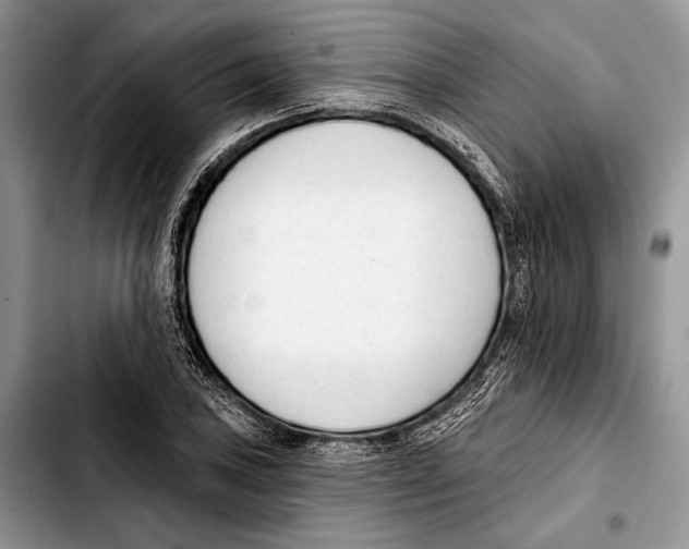 X0000103421027200810101014
