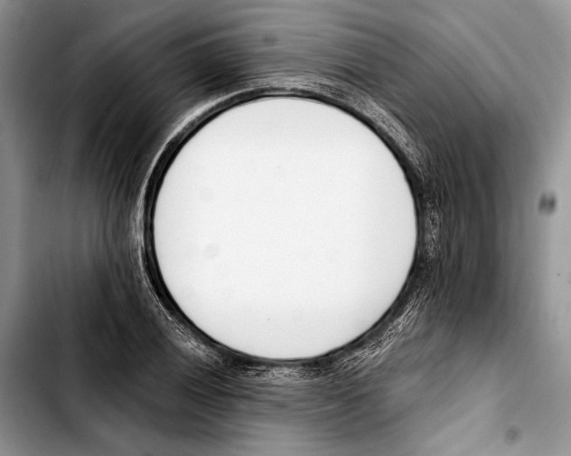 X0000103421028200810101014