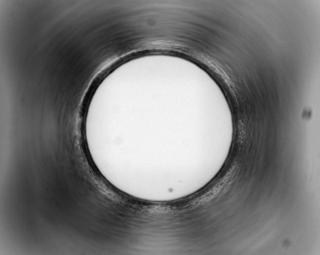 X0000103421029200810101014