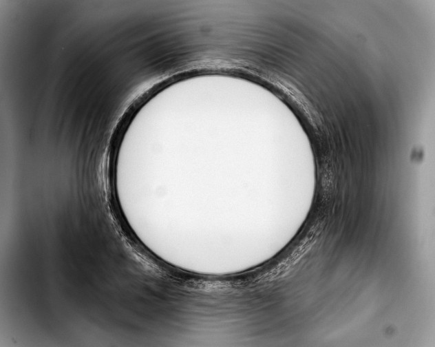 X0000103421030200810101014
