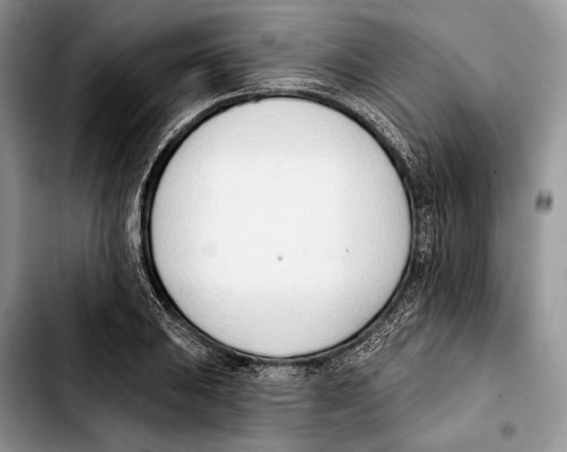 X0000103421031200810101014