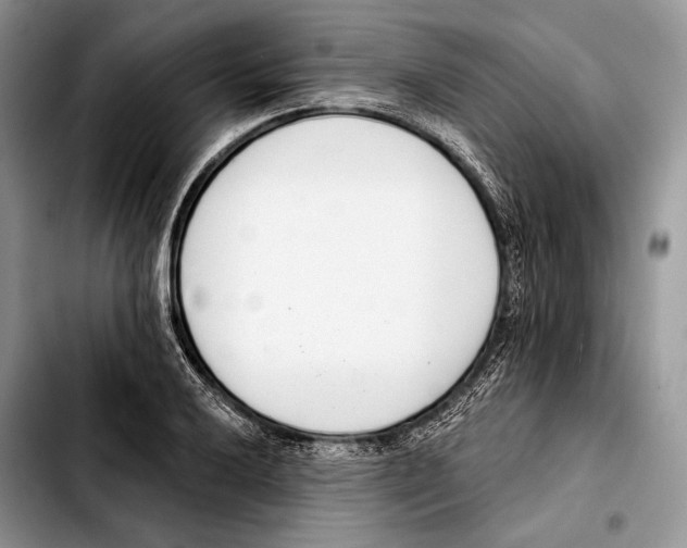 X0000103421032200810101014
