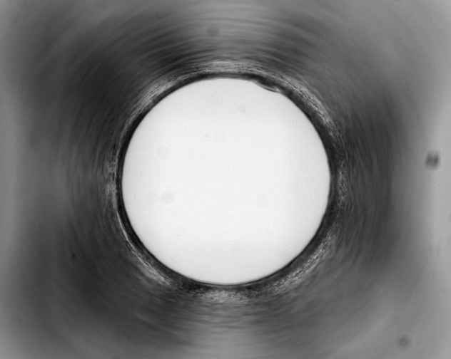 X0000103421033200810101014