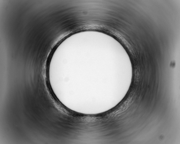 X0000103421034200810101014