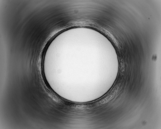 X0000103421035200810101014