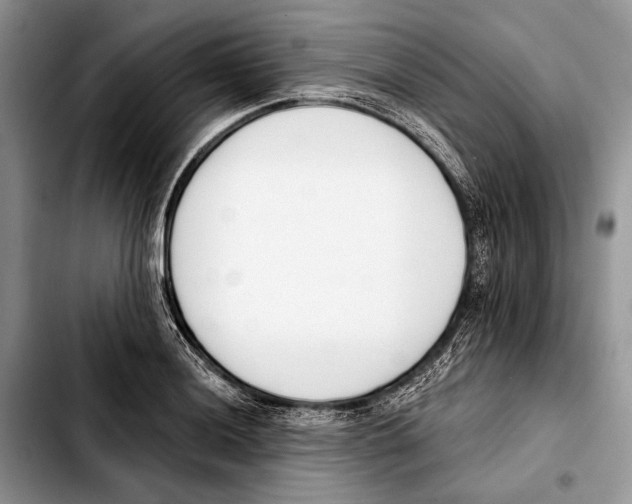 X0000103421036200810101014