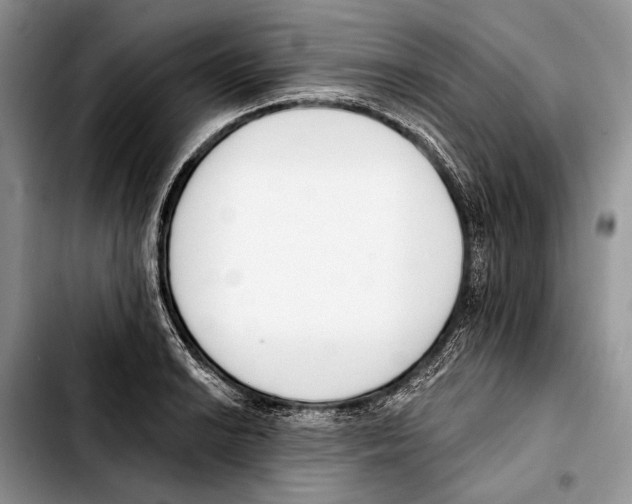 X0000103421038200810101014