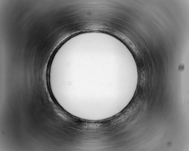 X0000103421039200810101014