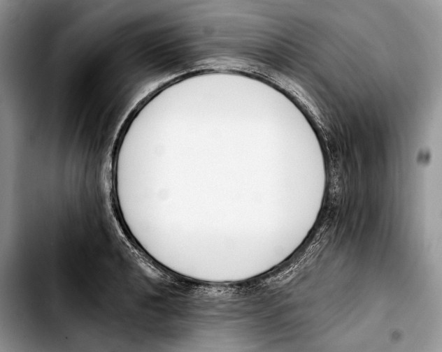 X0000103421040200810101014