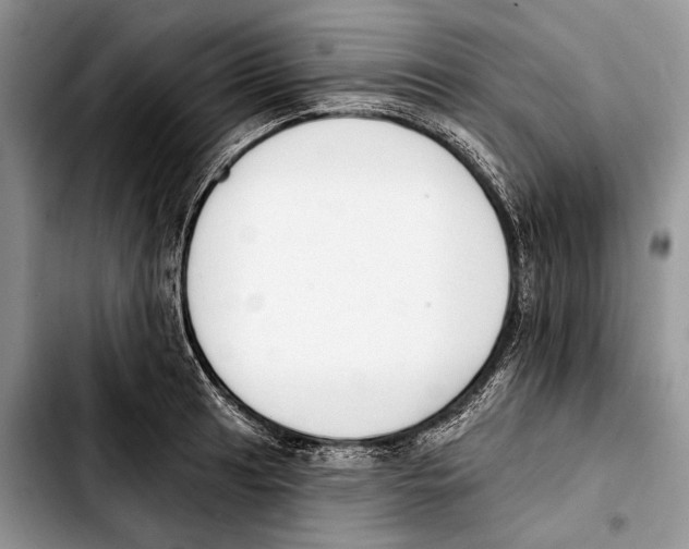 X0000103421041200810101014