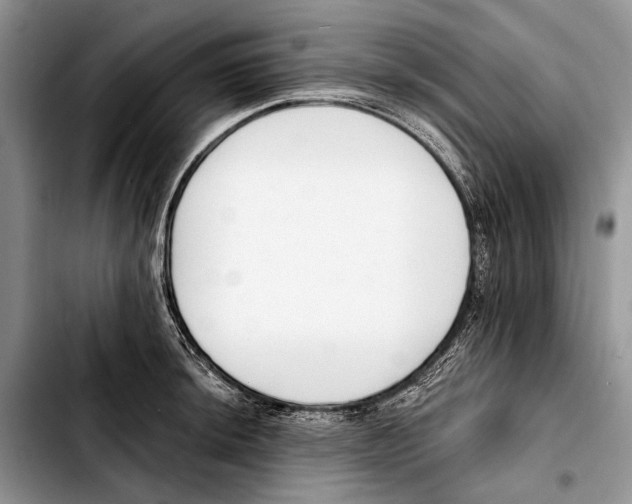 X0000103421044200810101014
