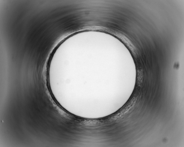 X0000103421046200810101014