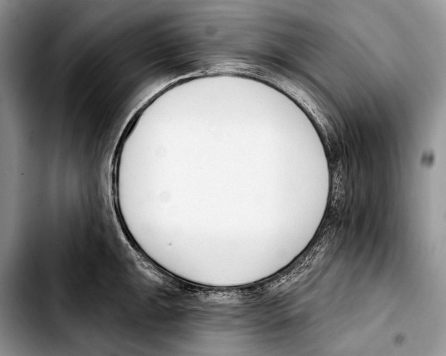 X0000103421047200810101014